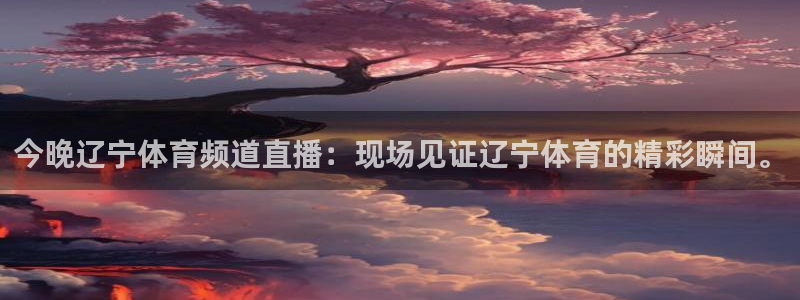 今晚辽宁体育频道直播：现场见证辽宁体育的精彩瞬间。