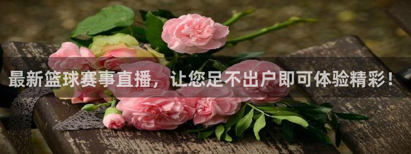 最新篮球赛事直播，让您足不出户即可体验精彩！