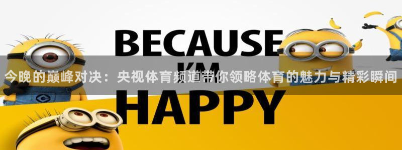 今晚的巅峰对决：央视体育频道带你领略体育的魅力与精彩瞬间